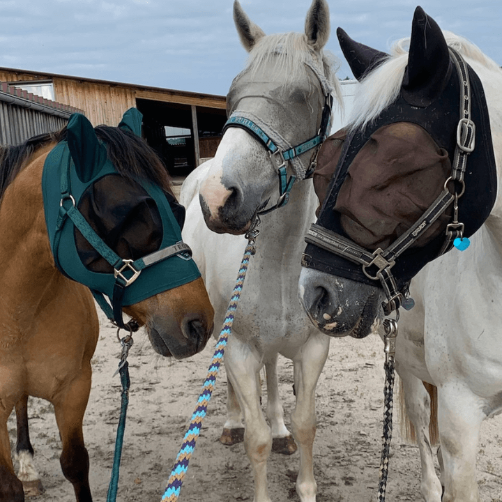 Thunder Horse (9) (1)